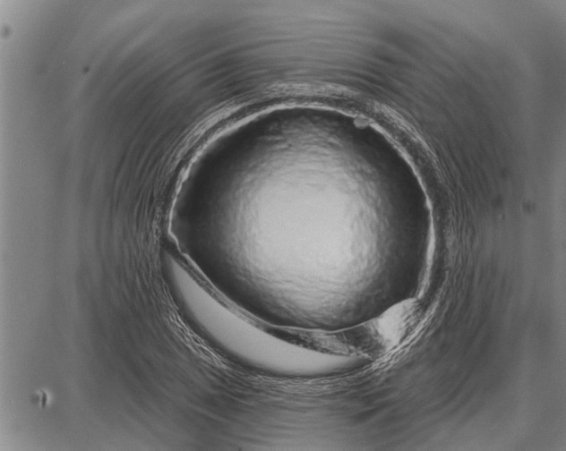 X0000087681025200705181724