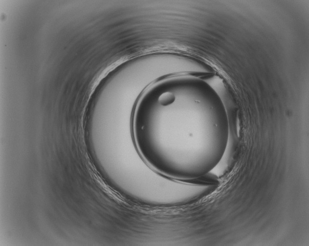 X0000087681026200705181724