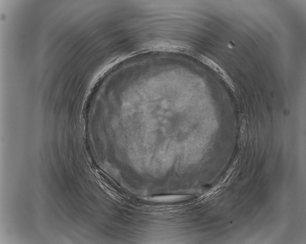 X0000087681027200705181724