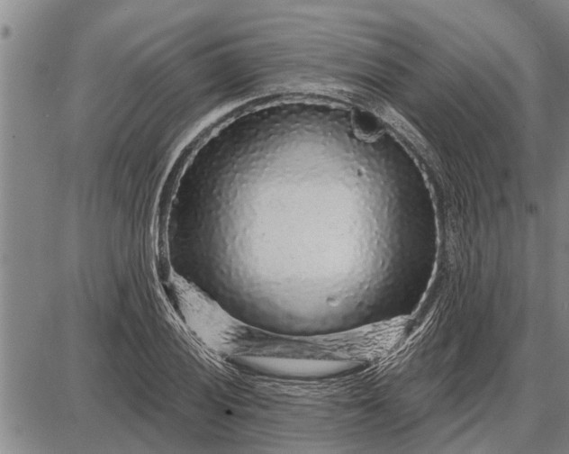 X0000087681028200705181724