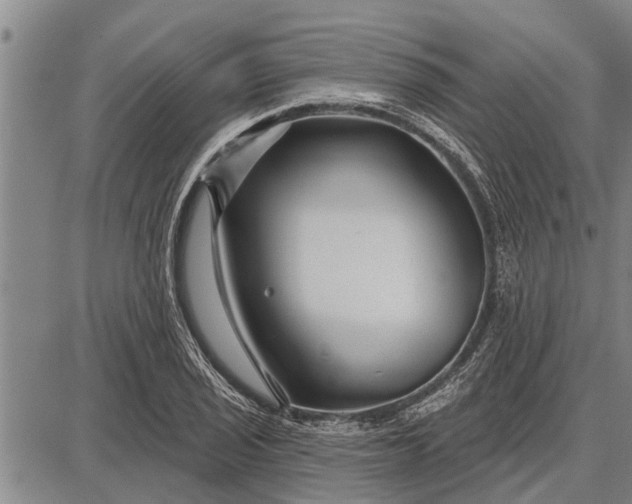 X0000087681029200705181724