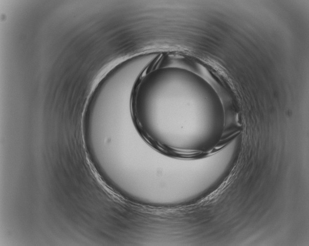 X0000087681030200705181724