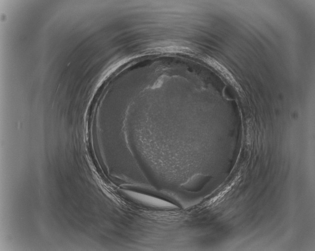 X0000087681031200705181724