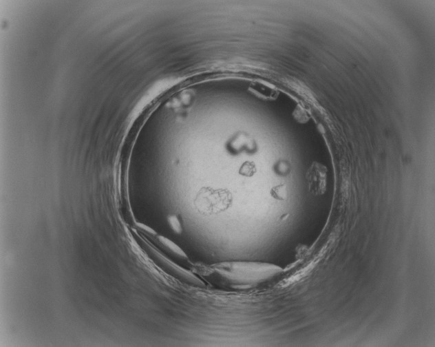 X0000087681032200705181724