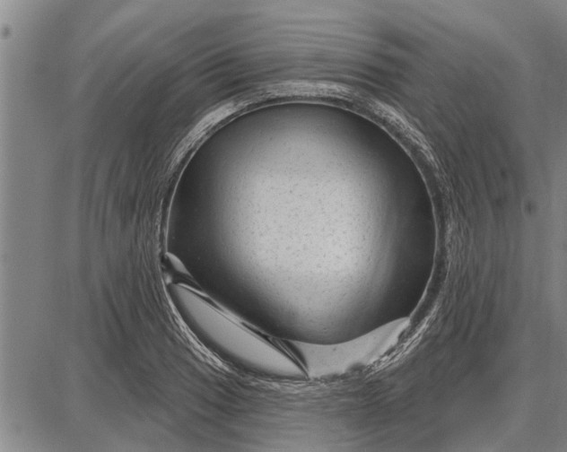 X0000087681033200705181724