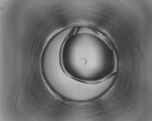 X0000087681034200705181724