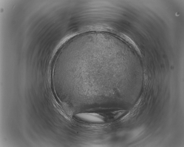 X0000087681035200705181724