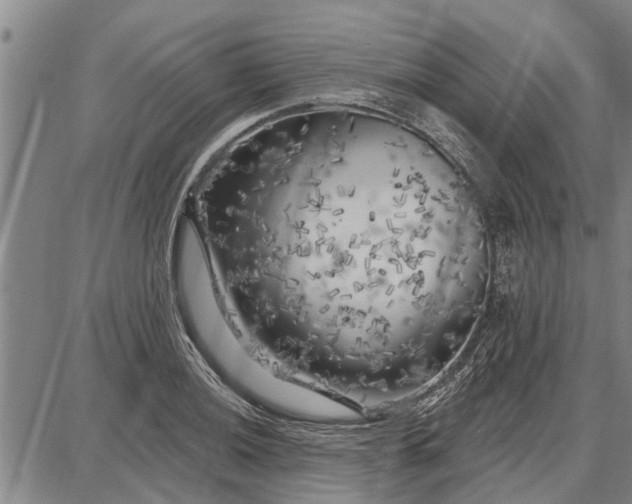 X0000087681036200705181724