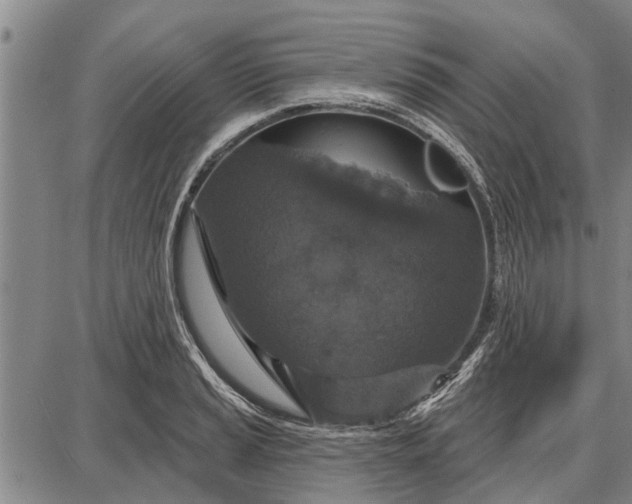 X0000087681037200705181724