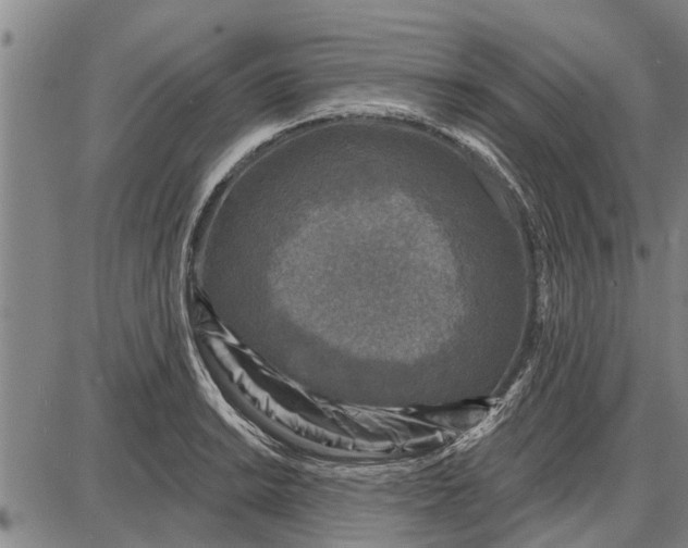 X0000087681038200705181724