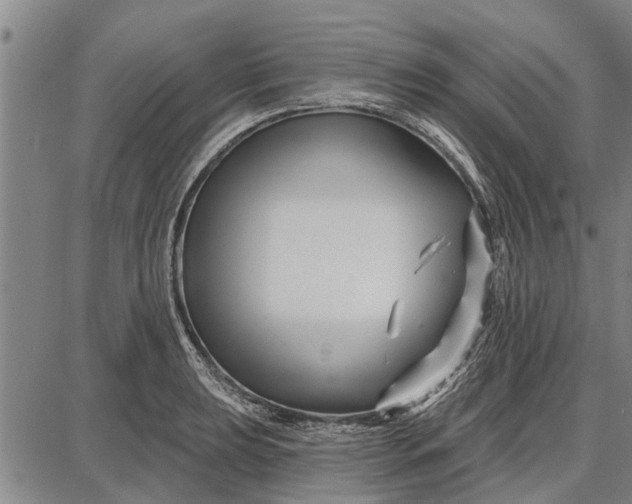 X0000087681039200705181724