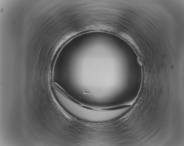 X0000087681040200705181724