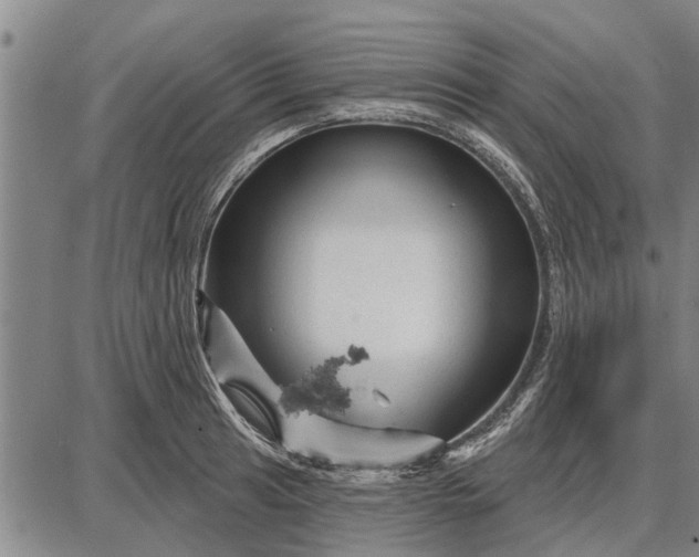 X0000087681041200705181725