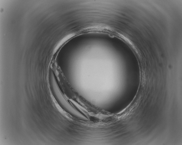 X0000087681042200705181725