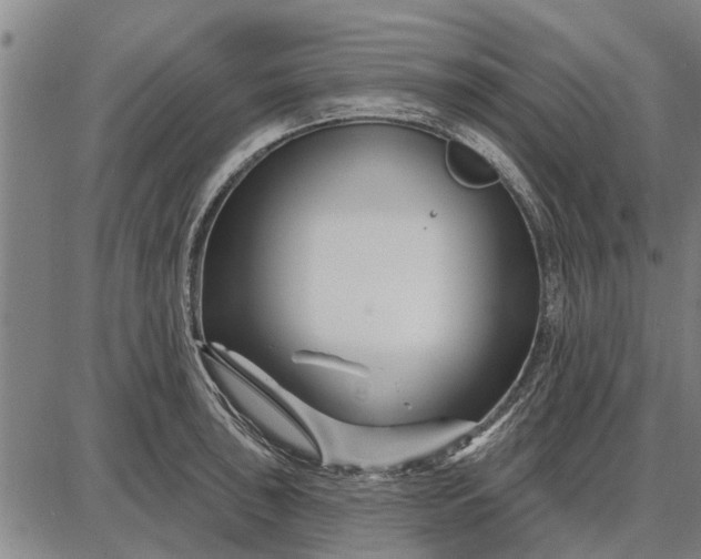 X0000087681043200705181725