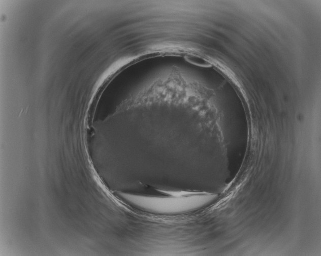 X0000087681045200705181725