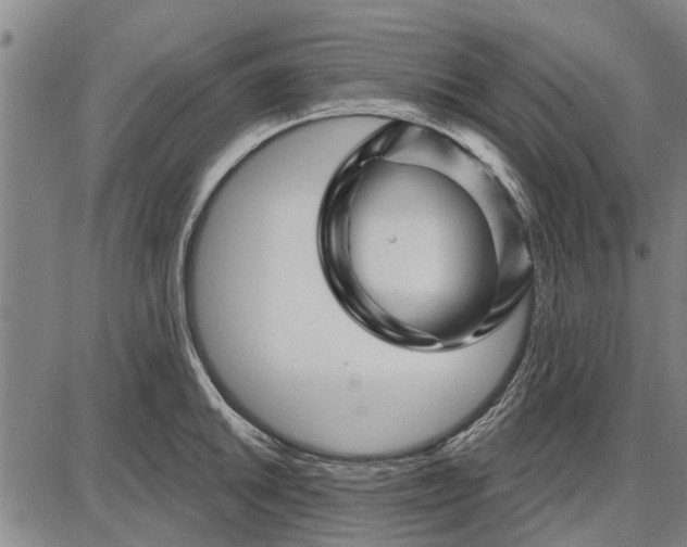 X0000087681046200705181725