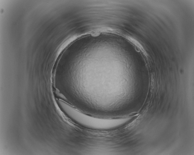 X0000087681047200705181725