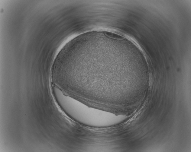 X0000087681048200705181725