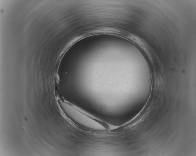 X0000087681049200705181725