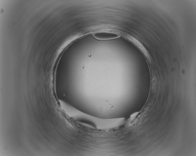 X0000087681051200705181725