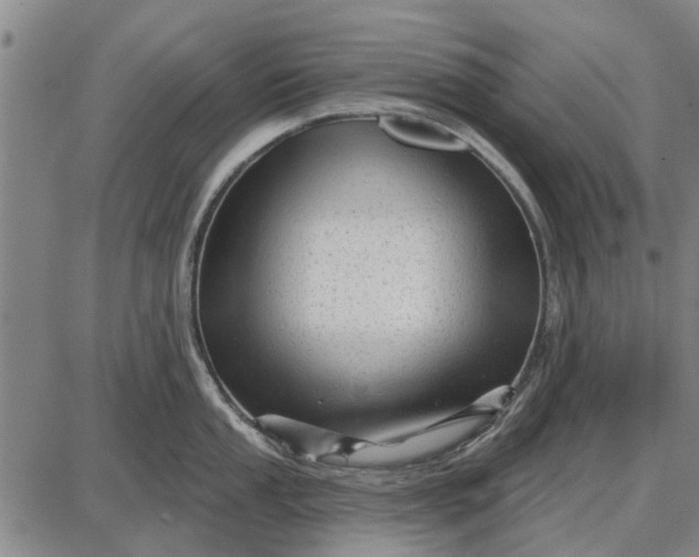 X0000087681053200705181725