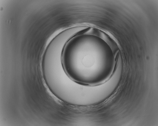 X0000087681054200705181725