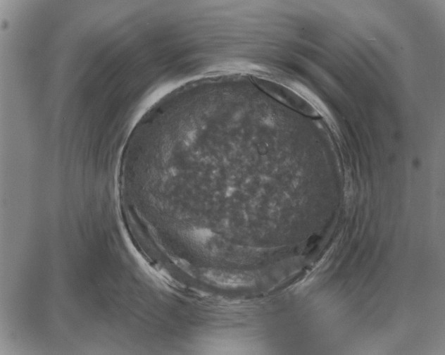 X0000087681055200705181725