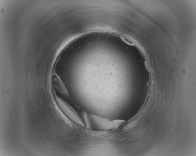 X0000087681056200705181725