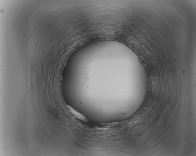 X0000087681057200705181724