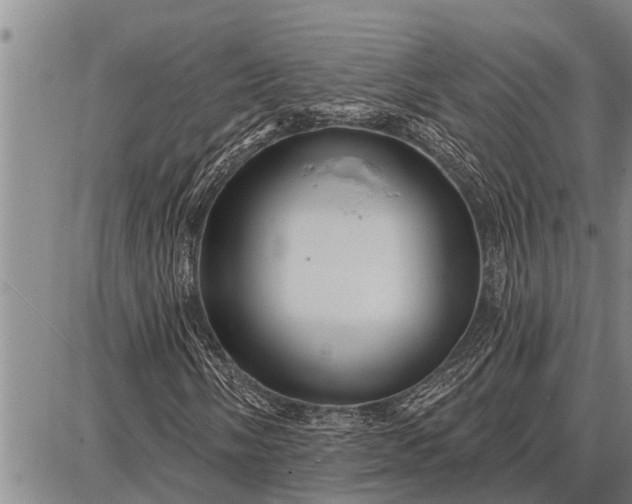 X0000087681058200705181724