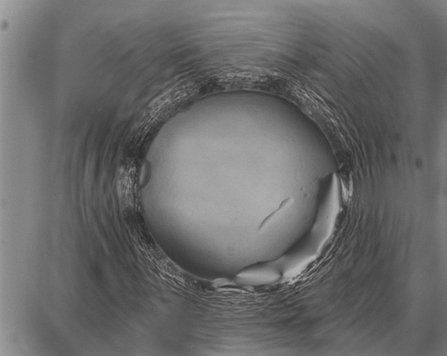 X0000087681059200705181724