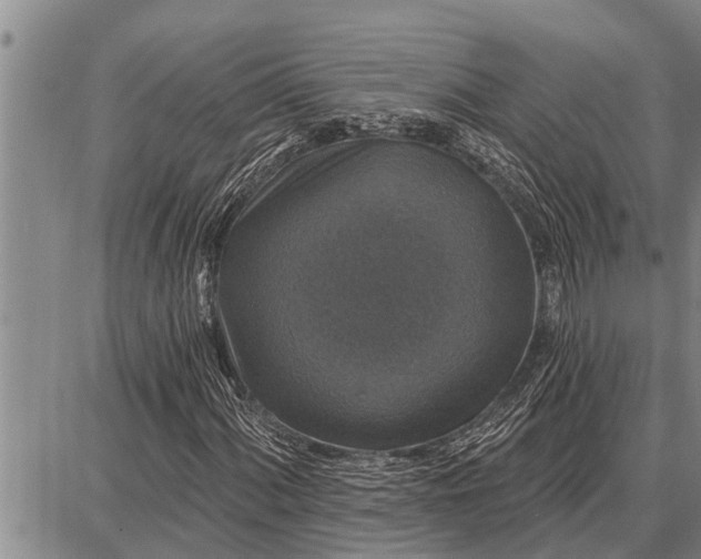 X0000087681060200705181724