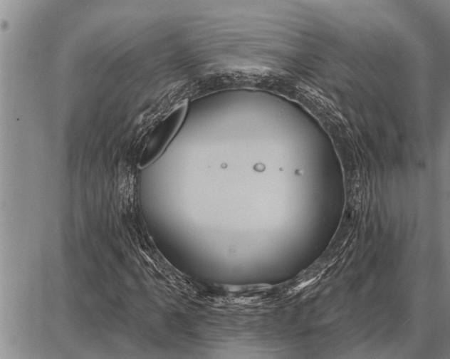 X0000087681061200705181724