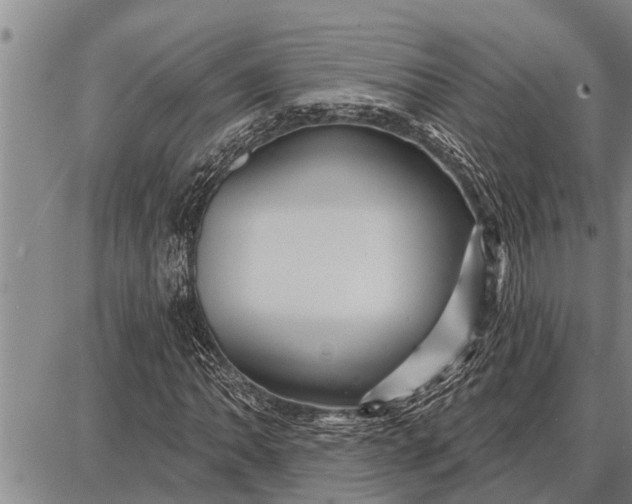 X0000087681062200705181724