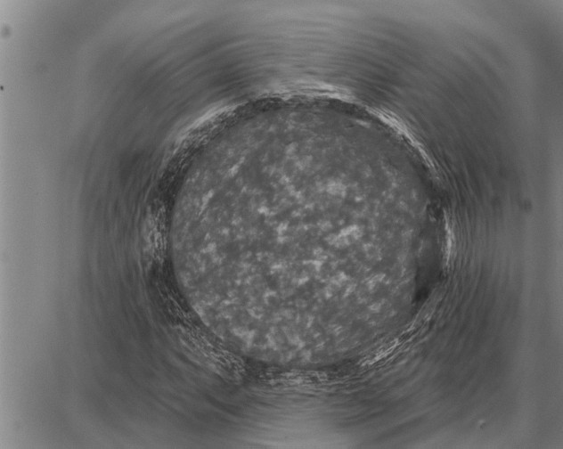 X0000087681063200705181724