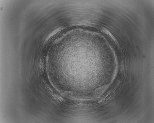 X0000087681064200705181724