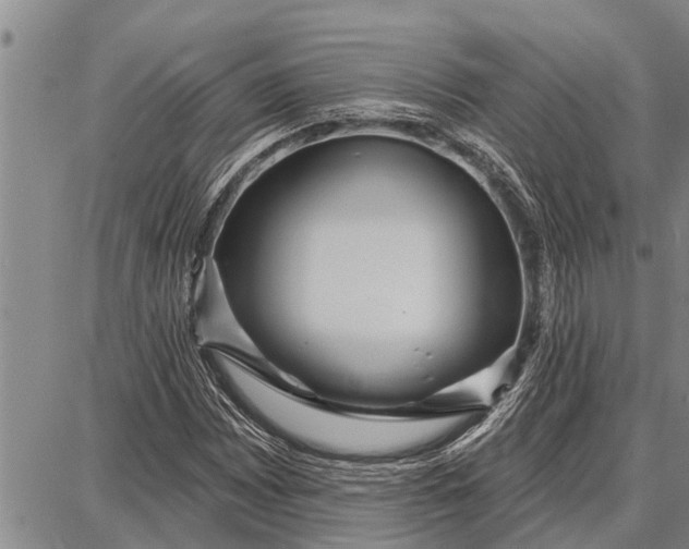 X0000087681065200705181724