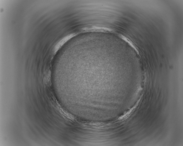 X0000087681066200705181724