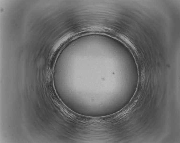 X0000087681067200705181724