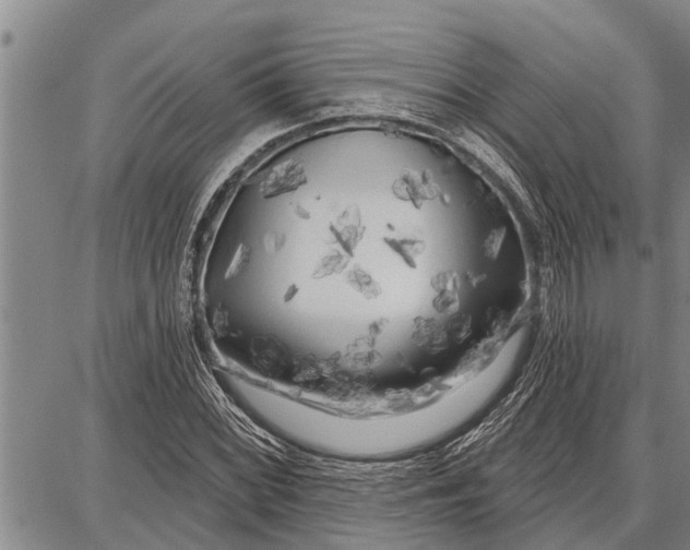 X0000087681068200705181724