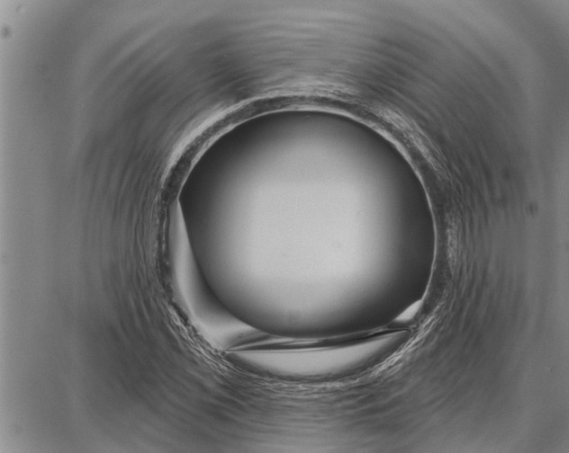 X0000087681069200705181724