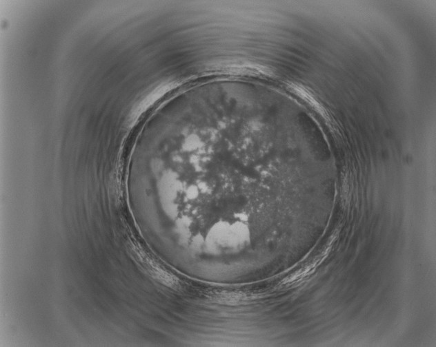 X0000087681071200705181724