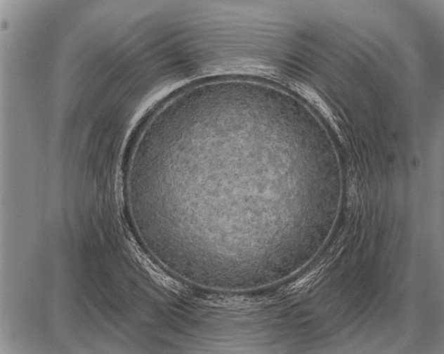 X0000087681072200705181724