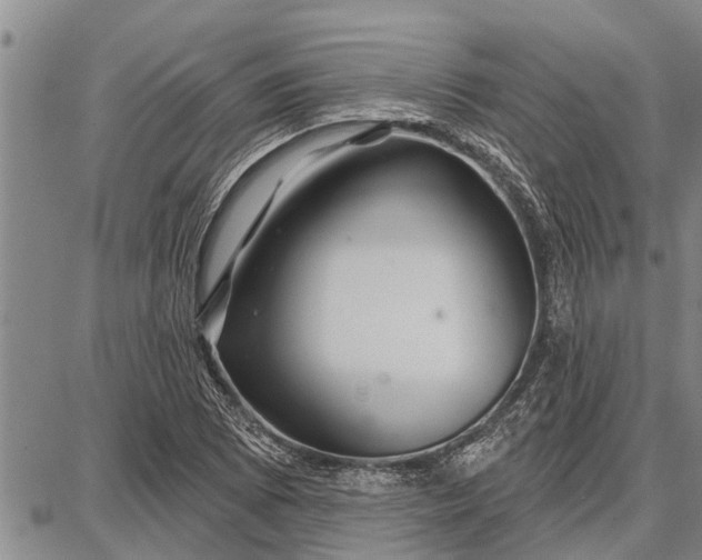 X0000087681073200705181724