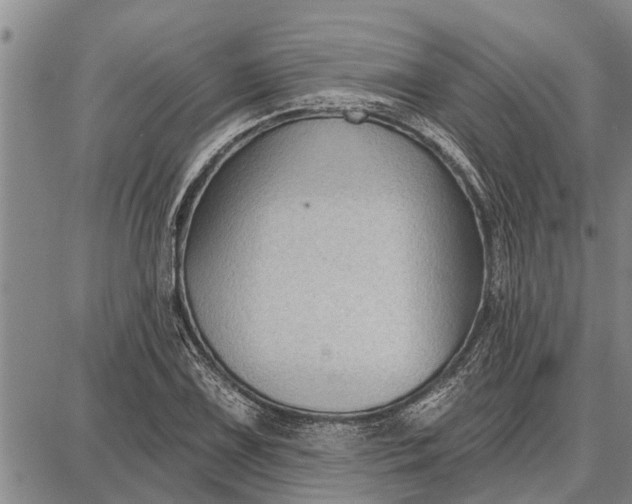 X0000087681075200705181724