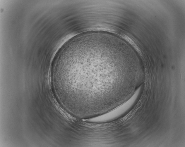 X0000087681076200705181724