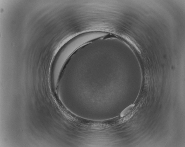 X0000087681077200705181724