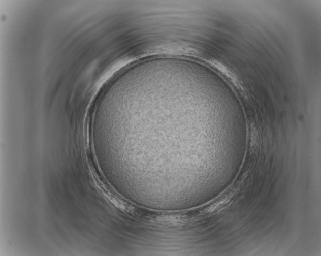 X0000087681078200705181724