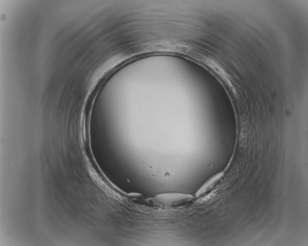 X0000087681080200705181724